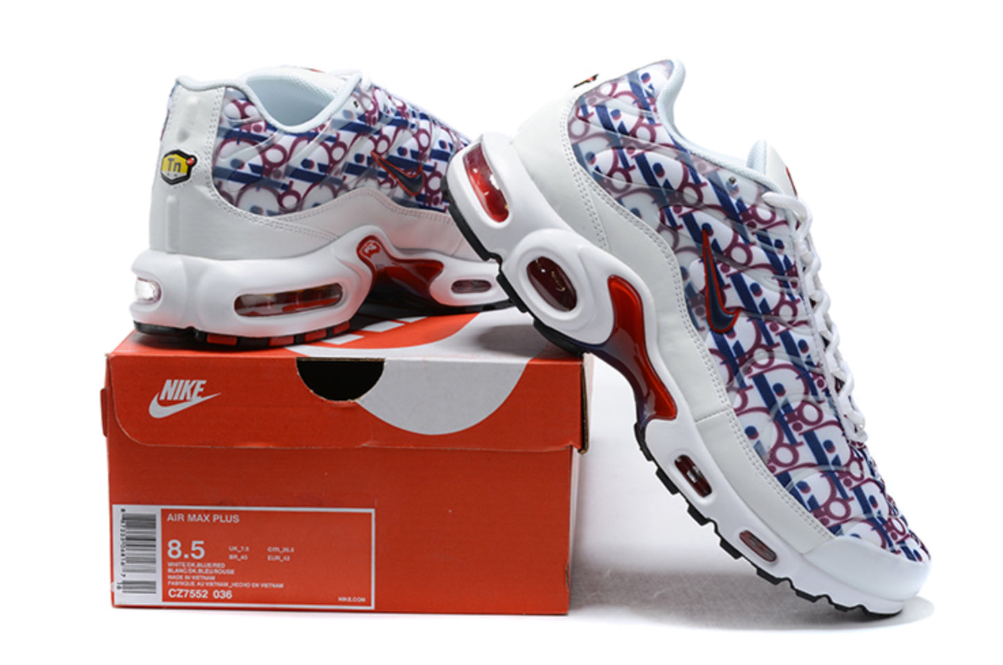 Nike Air Max Plus TN 'Dior Oblique Custom' (Blanco y Azul/Morado)
